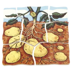 beleduc Schichten-Puzzle "Kartoffel", 30-tlg.