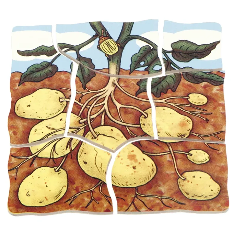 beleduc Schichten-Puzzle "Kartoffel", 30-tlg.