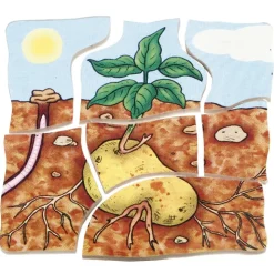 beleduc Schichten-Puzzle