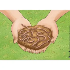Bildergeschichten-Karten "Was macht der Regenwurm im Garten?", 12-tlg.