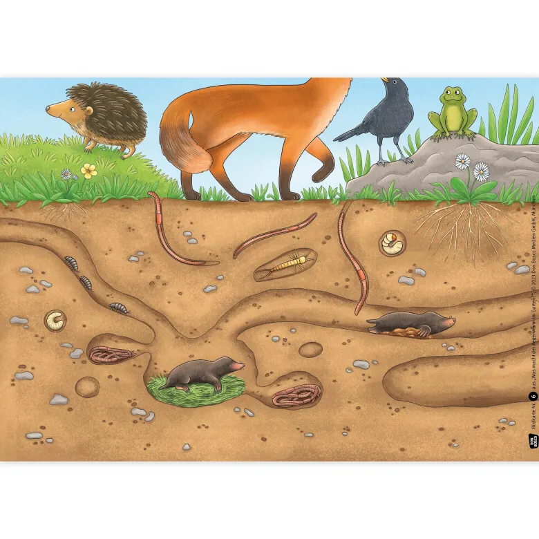 Bildergeschichten-Karten "Was macht der Regenwurm im Garten?", 12-tlg.