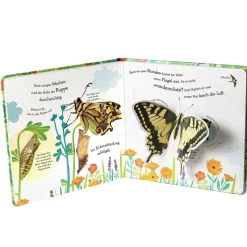 Buch "Wie wird die Raupe zum Schmetterling?", 18 Seiten