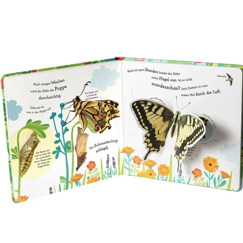 Buch "Wie wird die Raupe zum Schmetterling?", 18 Seiten