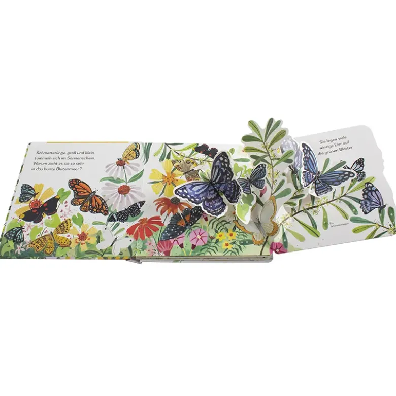 Buch "Wo kommst du her, kleiner Schmetterling? Mein Pop-up-Buch zum Staunen", 12 Seiten