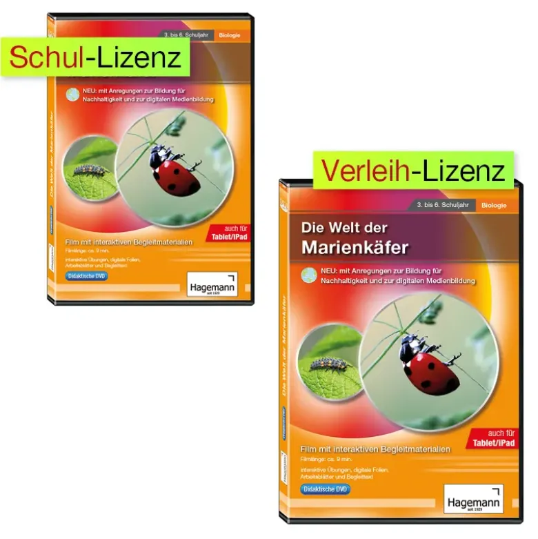Didaktische DVD "Die Welt der Marienkäfer", tabletfähig