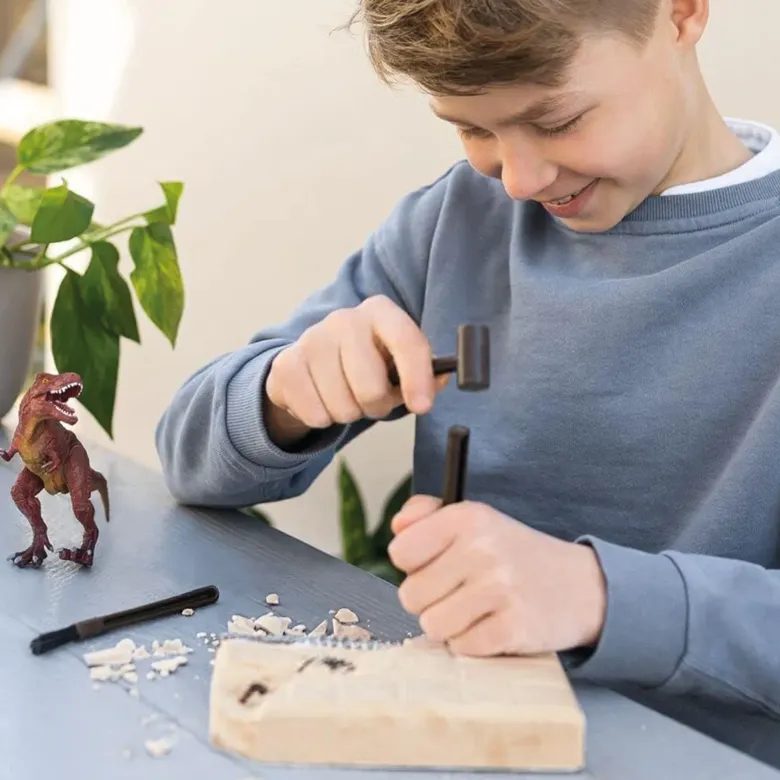 Dinosaurier-Ausgrabungs-Set "T-Rex", groß, 6-tlg.