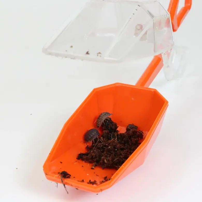 Entdecker-Set "Insekten & Co.", 8-tlg.