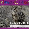 Eulenheft 1