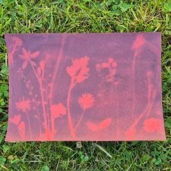 Foto-Solarpapier A5 farbig, mit Fixierscheibe, 16 Blatt