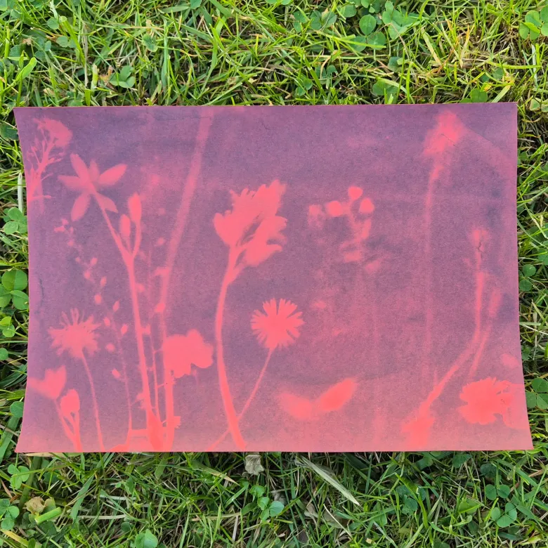 Foto-Solarpapier A5 farbig, mit Fixierscheibe, 16 Blatt