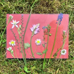 Foto-Solarpapier A5 farbig, mit Fixierscheibe, 16 Blatt