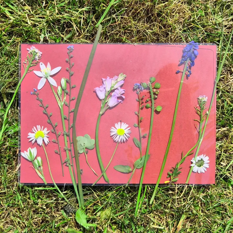 Foto-Solarpapier A5 farbig, mit Fixierscheibe, 16 Blatt