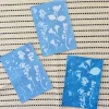 Foto-Solarpapier A5, mit Fixierscheibe, 10 Blatt