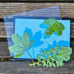 Foto-Solarpapier A5, mit Fixierscheibe, 10 Blatt