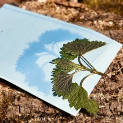 Foto-Solarpapier A5, mit Fixierscheibe, 20 Blatt