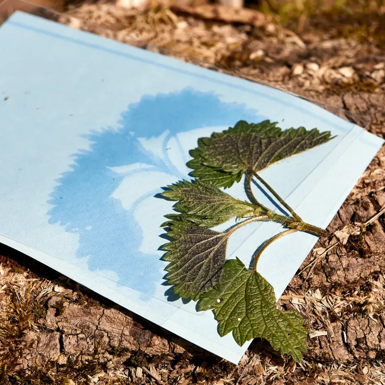 Foto-Solarpapier A5, mit Fixierscheibe, 20 Blatt