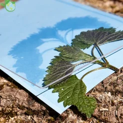 Foto-Solarpapier 178x127 mm, mit Fixierscheibe, 40 Blatt