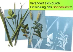 Foto-Solarpapier 178x127 mm, mit Fixierscheibe, 40 Blatt