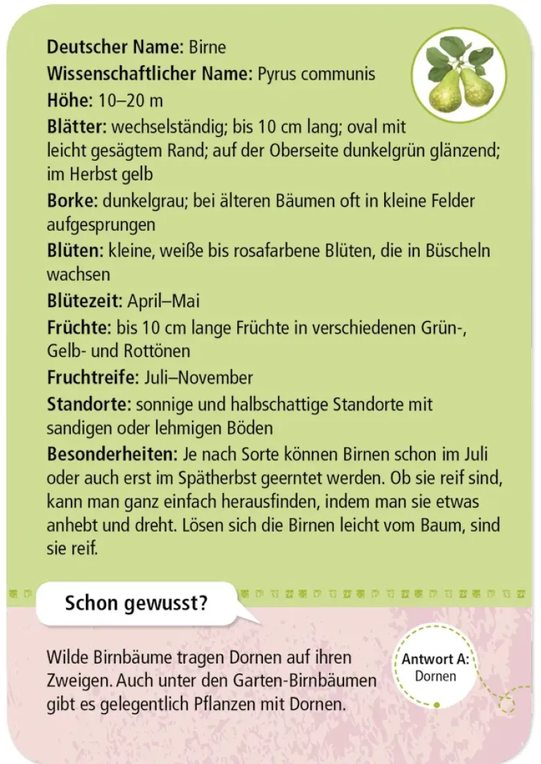 50 Garten- & Feldpflanzen entdecken und bestimmen