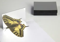 Geometrie-Handspiegel Klassensatz, 25-tlg.