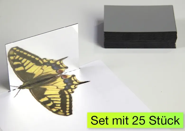 Geometrie-Handspiegel Klassensatz, 25-tlg.
