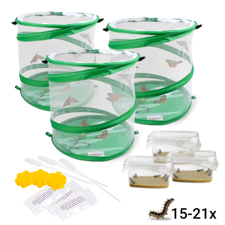 Gruppen-Projektset "Schmetterlinge", Starter-Set, 13-tlg.