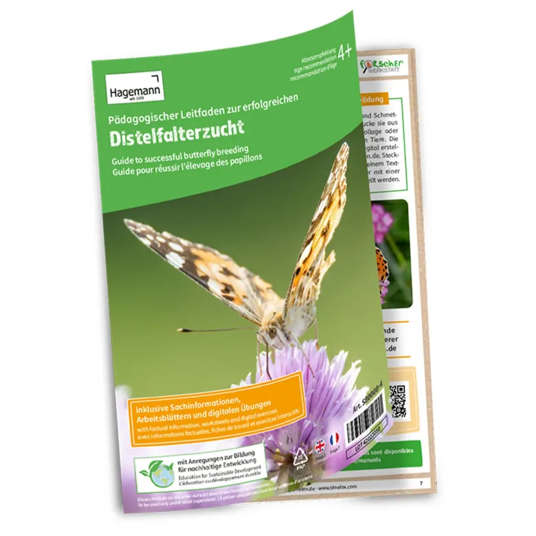Gruppen-Projektset "Schmetterlinge", Starter-Set, 13-tlg.