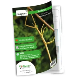Gruppen-Projektset