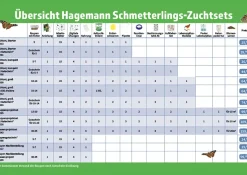 Gutschein-Set