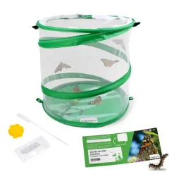 Gutschein-Set "Schmetterlinge", Starter-Set, 5-tlg.