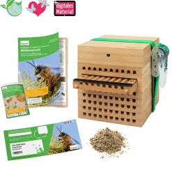 Gutschein-Set "Wildbienen", Rote Mauerbiene, 5-tlg.