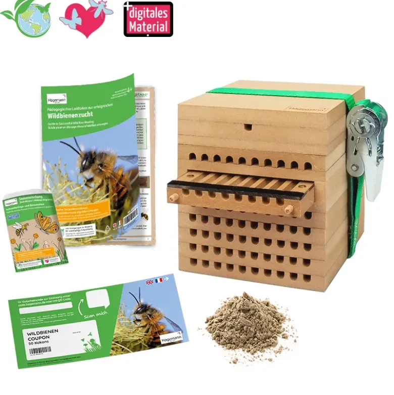 Gutschein-Set "Wildbienen", Rote Mauerbiene, 5-tlg.