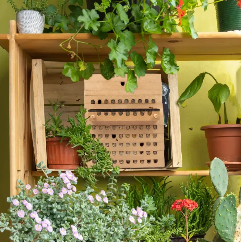 Gutschein-Set "Wildbienen", Rote Mauerbiene, 5-tlg.