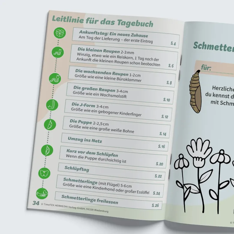 Hagemann Schmetterlings-Tagebuch A5, 36 Seiten