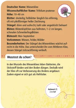 50 Heimische Blumen entdecken und bestimmen