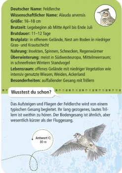 50 Heimische Vögel entdecken und bestimmen