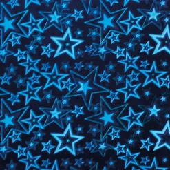 Hologrammkarton 25x35 cm, 230g/m², 5 Bogen