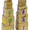 Holzwürfel "Lebenszyklus", 10 Stück
