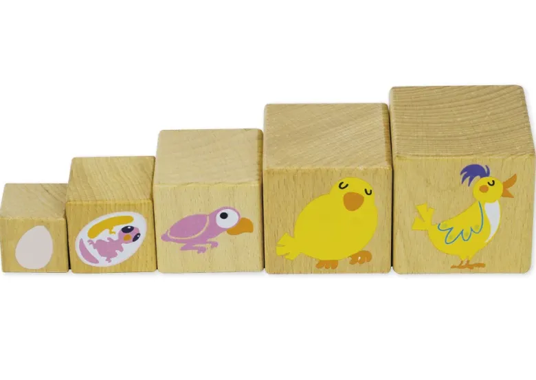 Holzwürfel "Lebenszyklus", 10 Stück