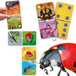 Insekten-Domino, 43-tlg.