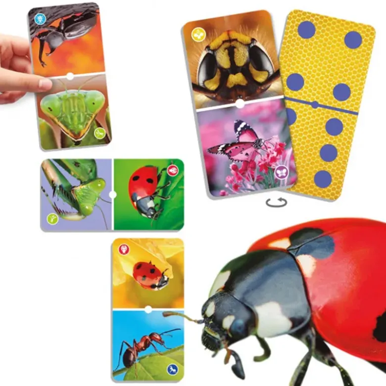 Insekten-Domino, 43-tlg.