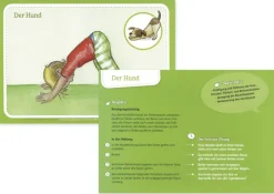 Karten-Set