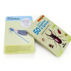 Kartenspiel "Insekten & Spinnen, entdecken & bestimmen"