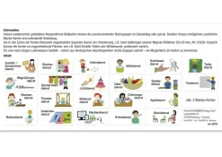 Klassendienst-Bildkarten aus Pappe, 24-tlg.