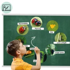Klassenset Lebenszyklus