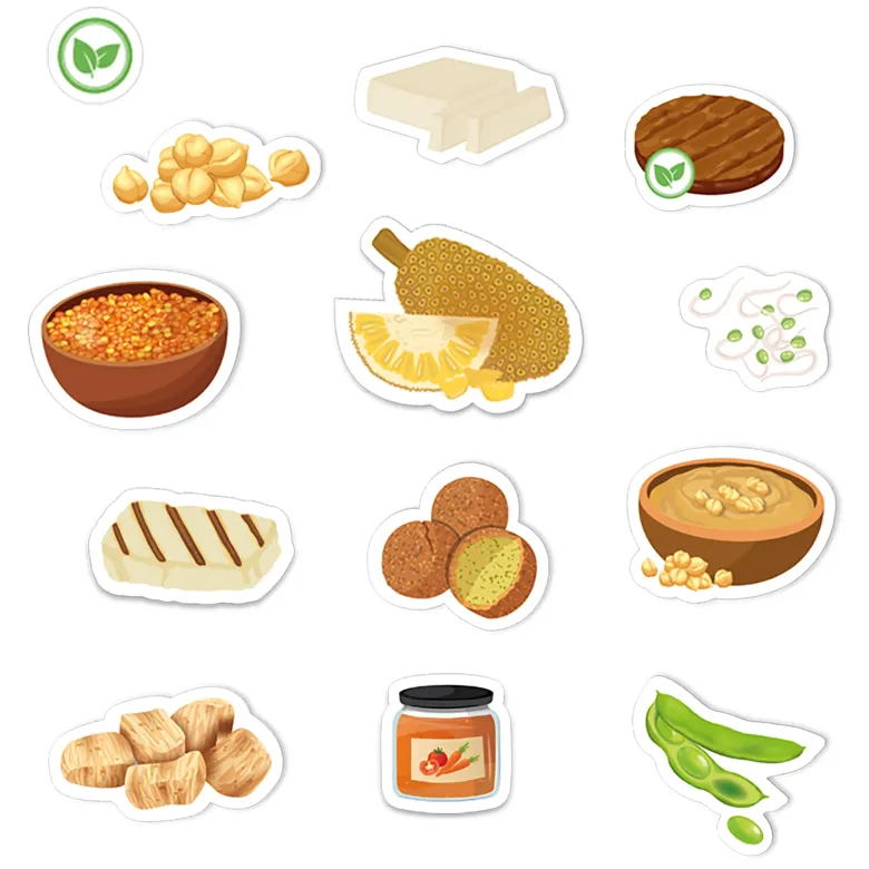 Klassenset "Vegetarische und vegane Ernährung", 519-tlg. in Box