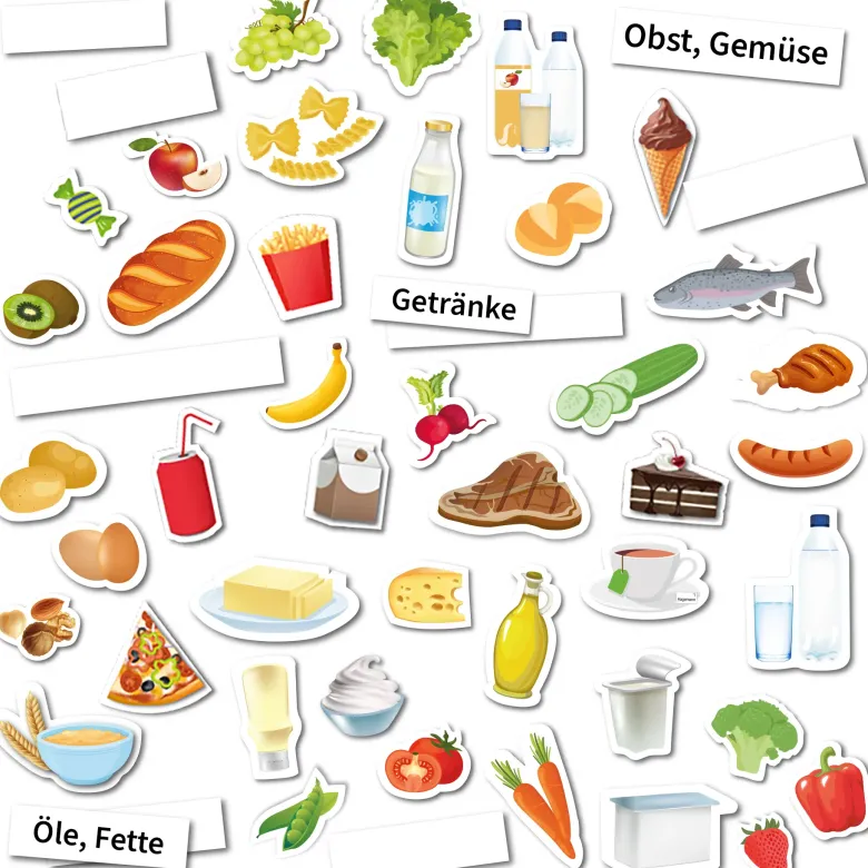 Klassenset "Vegetarische und vegane Ernährung", 519-tlg. in Box