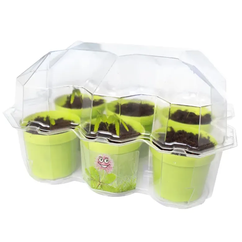 KOSMOS Zuchtset "Mimosen-Garten", 18-tlg.