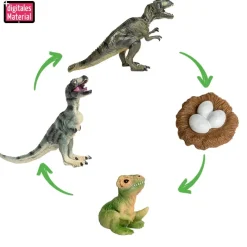 Lebenszyklus-Modell "Dinosaurier", 4-tlg.