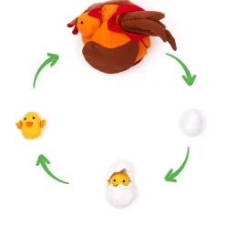 Lebenszyklus-Stoffmodell "Huhn mit Küken", 8-tlg.